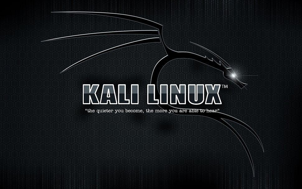 Лайфхаки и советы по настройке Kali Linux